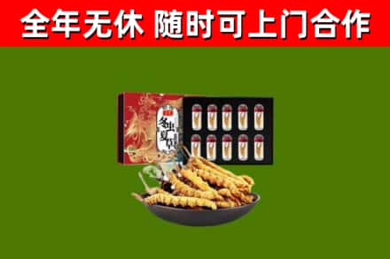 德宏回收冬虫夏草价格